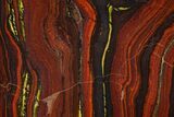 Polished Tiger Iron Stromatolite - Billion Years #129207-1